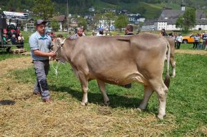 7k-Schneuter OBROB Winzer WENDY  Hurschler Werner
